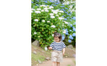 小田原城撮影（60分撮影/写真データ付き）【小田原城 撮影 60分 写真カメラマン 思い出 同行撮影 事前予約 平日 時間内撮影し放題 小田原市内 記念 予約制 古民家 記念撮影 神奈川県 小田原市 】