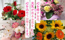 季節の生花アレンジ　Sサイズ&nbsp;【&nbsp;フラワー&nbsp;アレンジメント&nbsp;お花&nbsp;ギフト&nbsp;プレゼント&nbsp;贈り物&nbsp;誕生日&nbsp;お祝い&nbsp;神奈川県&nbsp;小田原市&nbsp;】