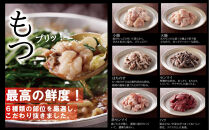 【元祖もつ鍋楽天地】1,077万人が食べた！秘伝醤油もつ鍋セット2人前　牛もつ200ｇ