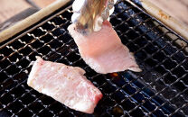 まぐろや  BBQセット【ふるさと納税】【まぐろ 鮪 本鮪 サーモン 海老 お刺身 海鮮 セット 福袋 キンメ きんめ お取り寄せ 御中元 お中元 お歳暮 父の日 母の日 贈り物 日本酒 焼酎 】【神奈川県小田原市】