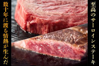 神奈川県産和牛&nbsp;阿夫利牛のステーキ&nbsp;600g【&nbsp;牛肉&nbsp;和牛&nbsp;神奈川県&nbsp;小田原市&nbsp;】