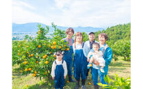 ＜品種厳選＞こだわりの貯蔵みかん　10キロ＜2025年12月20日出荷開始～2026年2月28日出荷終了＞【 みかん 神奈川県 小田原市 】