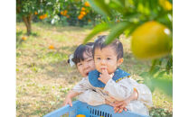 ＜品種厳選＞こだわりの貯蔵みかん　10キロ＜2025年12月20日出荷開始～2026年2月28日出荷終了＞【 みかん 神奈川県 小田原市 】