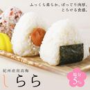 紀州産南高梅 梅干し しらら  500g 減塩 梅干 塩分5% 中田食品