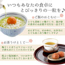 紀州産南高梅 梅干し しらら  500g 減塩 梅干 塩分5% 中田食品