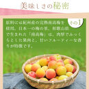 紀州産南高梅 梅干し しらら  500g 減塩 梅干 塩分5% 中田食品