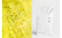 【令和7年産】［12ヶ月定期便］南魚沼君沢産こしひかり&nbsp;白燦々5kg