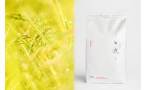 【令和7年産】［12ヶ月定期便］南魚沼君沢産こしひかり&nbsp;白燦々10kg