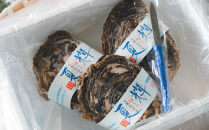 1014.【2026年6月上旬以降発送&nbsp;先行予約】鳥取県産　天然岩ガキ『夏輝』　特大サイズ3個（500g以上×3個）&nbsp;牡蠣&nbsp;カキ※着日指定不可※2026年6月上旬～8月下旬頃に順次発送予定【牡蠣&nbsp;かき&nbsp;岩ガキ&nbsp;いわがき&nbsp;甲殻類&nbsp;新鮮&nbsp;鳥取&nbsp;北栄町&nbsp;おすすめ&nbsp;人気】