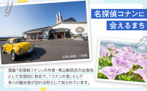 1014.【2026年6月上旬以降発送&nbsp;先行予約】鳥取県産　天然岩ガキ『夏輝』　特大サイズ3個（500g以上×3個）&nbsp;牡蠣&nbsp;カキ※着日指定不可※2026年6月上旬～8月下旬頃に順次発送予定【牡蠣&nbsp;かき&nbsp;岩ガキ&nbsp;いわがき&nbsp;甲殻類&nbsp;新鮮&nbsp;鳥取&nbsp;北栄町&nbsp;おすすめ&nbsp;人気】
