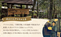 ＼年内発送／ 【ゆふいん・アトリエとき】幸せの木の葉皿 4枚セット（大小 各2枚）