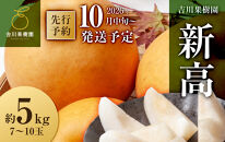 【2026年発送分先行予約】新高　約５kg（7～10玉）10月中旬～順次発送【吉川果樹園】