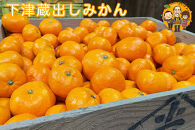 下津蔵出しみかん&nbsp;約5kg&nbsp;S～Lサイズいずれか&nbsp;山下農園