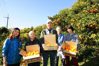 下津蔵出しみかん&nbsp;約5kg&nbsp;S～Lサイズいずれか&nbsp;山下農園