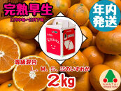 年内発送&nbsp;等級混合&nbsp;完熟早生&nbsp;有田&nbsp;みかん&nbsp;L&nbsp;～&nbsp;SS&nbsp;サイズ&nbsp;2kg&nbsp;南泰園&nbsp;和歌山&nbsp;有田みかん