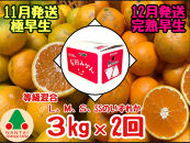 定期便&nbsp;11・12月発送&nbsp;有田みかん&nbsp;2種&nbsp;食べくらべ&nbsp;極早生&nbsp;＆&nbsp;完熟早生&nbsp;3kg&nbsp;和歌山&nbsp;みかん&nbsp;南泰園&nbsp;全2回