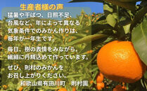 則村園産&nbsp;有田みかん&nbsp;約10kg