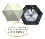 ［ふるさと納税］anon 日傘 曙塗り ライトグレー 紀州漆器アンブレラ 晴雨兼用傘 UVカット率100％ 紀州漆器アンブレラ 折りたたみ傘 男女兼用デザイン