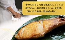 【中辛】【毎月2ヶ月&nbsp;定期便】厚切り銀鮭&nbsp;半身1枚&nbsp;約10枚切【鮭&nbsp;塩鮭&nbsp;サケ&nbsp;焼き魚&nbsp;魚&nbsp;おつまみ&nbsp;惣菜&nbsp;海鮮&nbsp;珍味&nbsp;お取り寄せ&nbsp;御中元&nbsp;お中元&nbsp;お歳暮&nbsp;父の日&nbsp;母の日&nbsp;贈り物&nbsp;日本酒&nbsp;焼酎&nbsp;神奈川県&nbsp;小田原市&nbsp;】