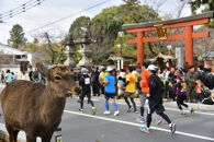 奈良マラソン2025出走権（マラソン種目）1人分