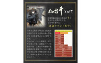 肉質最高5ランク 仙台牛100%ハンバーグ120g×10個セット 1.2 kg　(ゆずぽん酢醤油付き)【肉 お肉 にく 食品 人気 おすすめ  ギフト】 ●