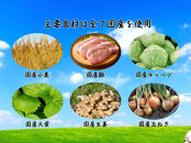 餃子 手包み大葉餃子 25個入り 餃子屋はまだ