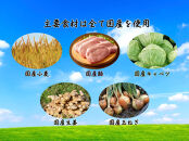 餃子 手包み生姜餃子 Sパック 12個入り 餃子屋はまだ