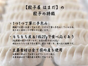 餃子 手包みにんにく餃子 Sパック 12個入り 餃子屋はまだ