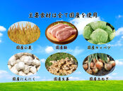 餃子 手包みにんにく餃子 Sパック 12個入り 餃子屋はまだ