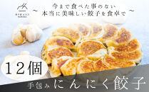 餃子 手包みにんにく餃子 Sパック 12個入り 餃子屋はまだ