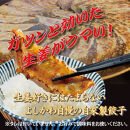 野菜たっぷり餃子(冷凍生餃子15個入り×4パック)