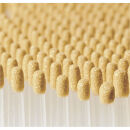 角質ケアフットブラシ&nbsp;フットグルーマー&nbsp;ゲルマAG＋_1110418260_00|&nbsp;フットブラシ&nbsp;角質ケア&nbsp;フットケア&nbsp;マッサージ&nbsp;美容&nbsp;送料無料&nbsp;東京&nbsp;中野