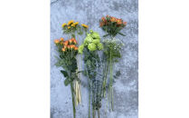 【お花の定期便】素材を楽しむ季節のお花(全12回）【素材を楽しむ季節のお花 フラワーライフ 切り花セット 毎月お届け 花本来の長さ 季節のお花 ご自宅にお届け 生け花 観賞用 飾り用 旬の枝物 全12回 神奈川県 小田原市 】