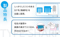 【定期便&nbsp;毎月&nbsp;6か月】LION&nbsp;ハミガキセット&nbsp;【ライオン&nbsp;歯みがき&nbsp;歯磨き&nbsp;歯磨き粉&nbsp;定期便&nbsp;毎月届く&nbsp;ライオン小田原工場&nbsp;NONIOハミガキクリアハーブミント&nbsp;NONIOハミガキクリアハーブミント&nbsp;神奈川県&nbsp;小田原市&nbsp;】