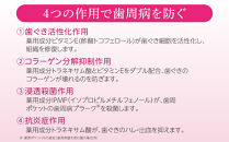 【定期便&nbsp;毎月&nbsp;12か月】LION&nbsp;ハミガキセット【ライオン&nbsp;歯みがき&nbsp;歯磨き&nbsp;歯磨き粉&nbsp;定期便&nbsp;毎月届く&nbsp;ライオン小田原工場&nbsp;NONIOハミガキクリアハーブミント&nbsp;NONIOハミガキクリアハーブミント&nbsp;神奈川県&nbsp;小田原市&nbsp;】