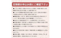 【定期便&nbsp;全6回・毎月2回】「毎月2回」届く、旬の花束【&nbsp;神奈川県&nbsp;小田原市&nbsp;】