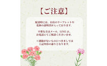 【定期便年6回　季節の花鉢】農林水産大臣賞を受賞したフローリストがアレンジする&nbsp;季節を知らせる花鉢【&nbsp;花&nbsp;お花&nbsp;神奈川県&nbsp;小田原市&nbsp;】