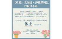 【定期便年6回　季節の花鉢】農林水産大臣賞を受賞したフローリストがアレンジする&nbsp;季節を知らせる花鉢【&nbsp;花&nbsp;お花&nbsp;神奈川県&nbsp;小田原市&nbsp;】