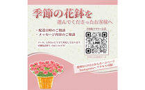 【定期便年12回　季節の花鉢】農林水産大臣賞を受賞したフローリストがアレンジする&nbsp;季節を知らせる花鉢【&nbsp;花&nbsp;お花&nbsp;神奈川県&nbsp;小田原市&nbsp;】