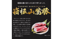 【定期便３ヵ月】箱根山麓豚　モモ・ウデ切り落とし２K盛り(500ｇ×４パック)【 箱根山麓豚 切り落とし 神奈川県 小田原市 】