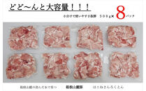 【定期便12ヵ月】箱根山麓豚　モモ・ウデ切り落とし４K盛り(500ｇ×８パック)【 箱根山麓豚 切り落とし 神奈川県 小田原市 】