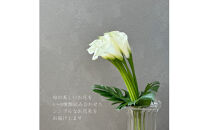 【月1回（全12回）】《数量限定・花瓶付き》～スタンダードstyle～季節の花束定期便（全12回）月1回お届け【&nbsp;花&nbsp;お花&nbsp;神奈川県&nbsp;小田原市&nbsp;】