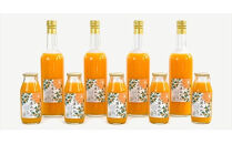 【定期便 （2カ月ごと全4回）】小田原産江之浦みかん１００％ストレートジュース１８０ml３０本