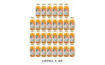 【定期便 （2カ月ごと全6回）】小田原産江之浦みかん１００％ストレートジュース１８０ml３０本