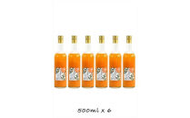 【定期便 （2カ月ごと全4回）】小田原産江之浦みかん１００％ストレートジュース５００ml６本