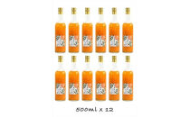 【定期便（2カ月ごと全6回）】小田原産江之浦みかん１００％ストレートジュース５００ml１２本