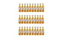 【定期便 12回】 小田原産江之浦みかんスパークリング果汁入り飲料果汁５０％２００ml３０本