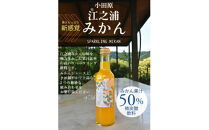 【定期便&nbsp;12回】&nbsp;小田原産江之浦みかんスパークリング果汁入り飲料果汁５０％２００ml３０本