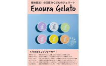 【定期便&nbsp;9回】&nbsp;小田原産江之浦ジェラート６種（みかん、湘南ゴールド、ブルーベリーミルク、いちごミルク、キウイヨーグルト、甘夏ヨーグルト）120mlカップ各２個合計１２個