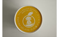 【定期便&nbsp;12回】&nbsp;小田原産江之浦ジェラート６種（みかん、湘南ゴールド、ブルーベリーミルク、いちごミルク、キウイヨーグルト、甘夏ヨーグルト）120mlカップ各２個合計１２個